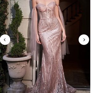 Cinderella Divine Rose Gold Dress